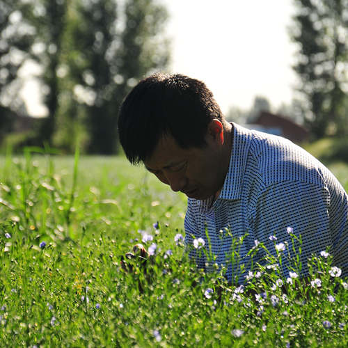 種植基地